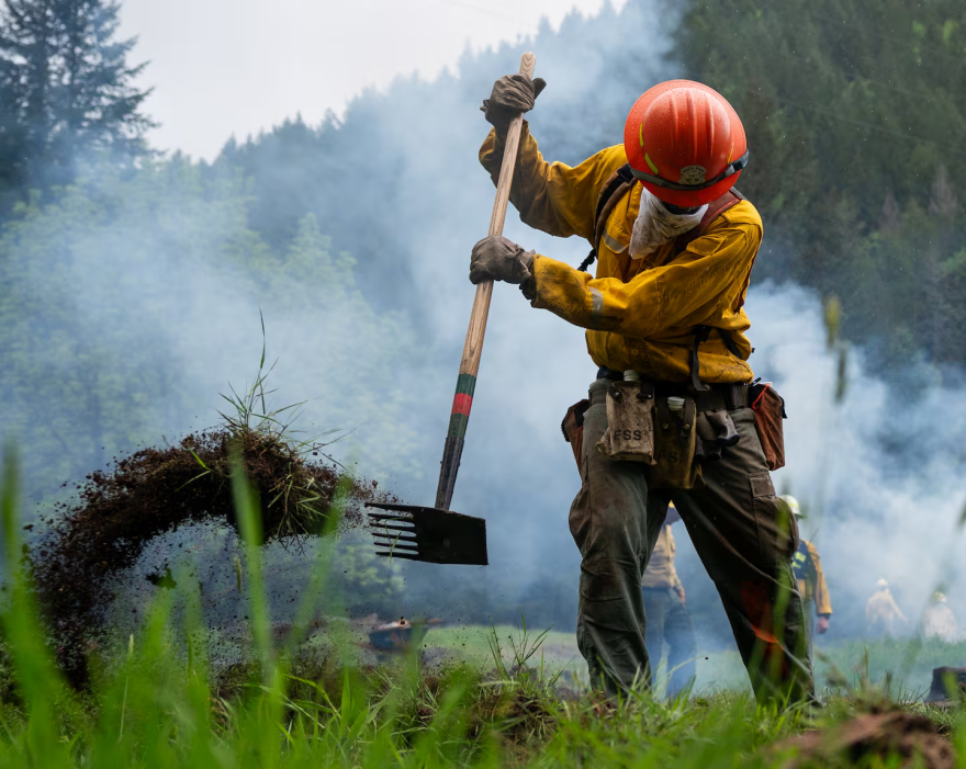 An person practices creating a handline, clearing the area around the perimeter of a fire.