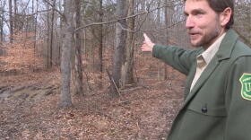 Hoosier National Forest Supervisor Mike Chaveas guestures toward some muddy ruts on the ground. He says off-road vehicles make their own trails in the forest and that causes damage.