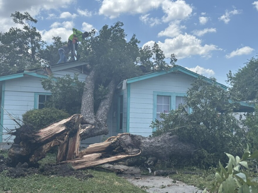 After severe storms felled trees and caused power outages, residents from the West Side clean up. Here, a crew removes a massive pecan tree from one side of a house on Morales Street on San Antonio's West Side