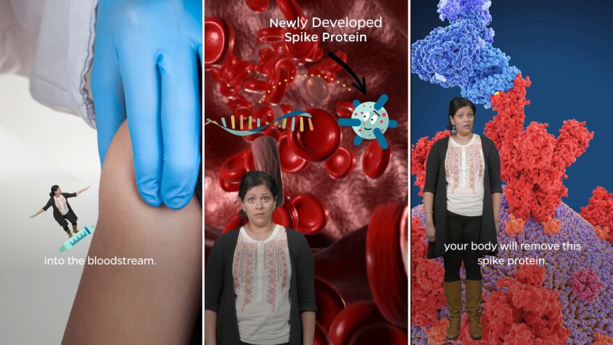 Johns Hopkins Bloomberg School of Public Health