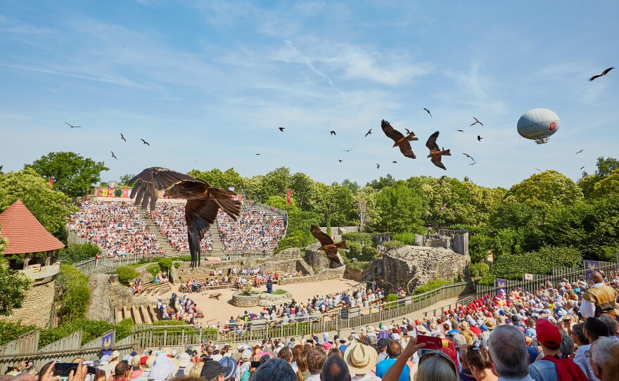A falconry show is one of Puy du Fou's historical shows, featuring hundreds of falcons, vultures, kites and owls.