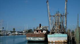 Shrimp boats in Port Isabel, in South Texas. (Gaige Davila/TPR)