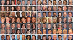 Kansas City-area school boards tend to be whiter than student populations they represent. The school boards shown here are listed at the bottom of the post.