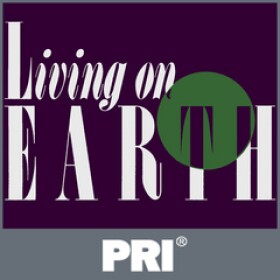 The Living on Earth logo with white lettering, a dark purple background and a green circle. 