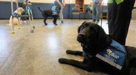 It costs Duo Dogs about $39,000 to train one assistance dog, plus a lot of volunteer hours. The dogs are placed at no cost to the clients.