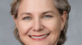 N.C. Rep. Deb Butler, D-New Hanover