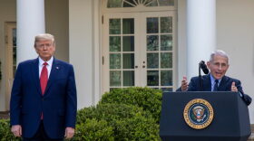 President Donald Trump listens to Dr. Anthony Fauci, director of the National Institute of Allergy and Infectious Diseases speak in the Rose Garden for the daily coronavirus briefing at the White House.