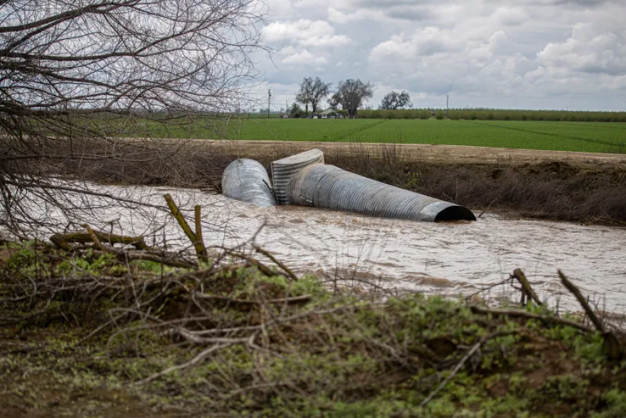 Pieces of drainage pipe in a canal.