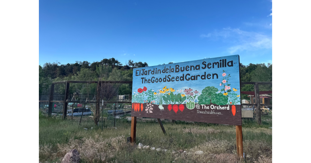 Good Seed Garden: withered or transplant?