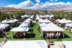 Art Fest 2022