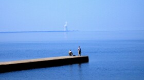A French firm has bought the rights to develop another nuclear power plant at Nine Mile Point.