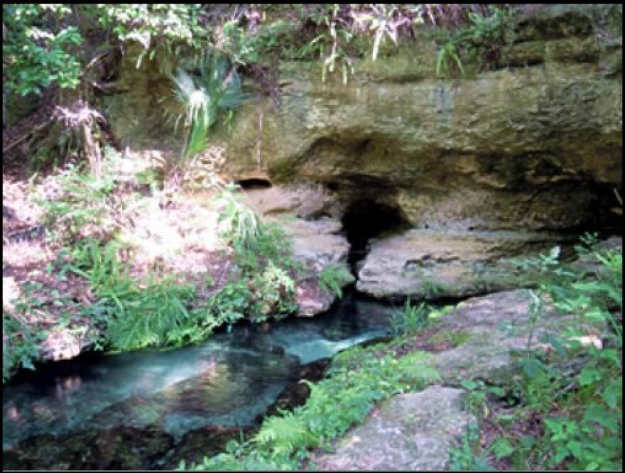 Rock Springs in Orange County is one place where groundwater emanates from the aquifer system