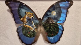 Christian Ramos creates detailed images from Mexico's history on the wings of butterflies. His work is on display at CityArts Orlando 17th Annual Día de los Muertos & Monster Party on Thursday, October 15, 2026.