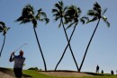 Stewart Cink hits from the bunker on the 16th green during the final round of the Sony Open golf event, Sunday, Jan. 14, 2024, at Waialae Country Club in Honolulu.