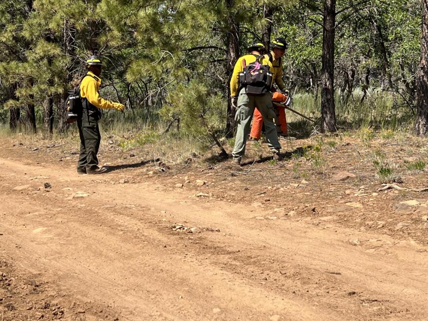 Firefighters clear brush near a defensive line during the Babylon Fire response. Crews have been using hand tools, heavy equipment, roads and dozer lines to strengthen containment features around the fire.