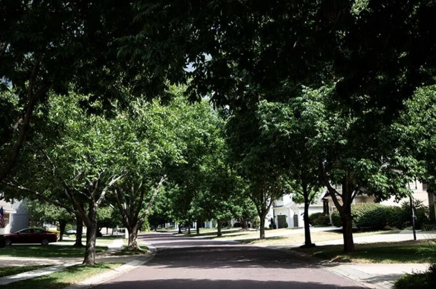 Ash trees line the streets of the Park at Forest Green neighborhood in southern Overland Park.