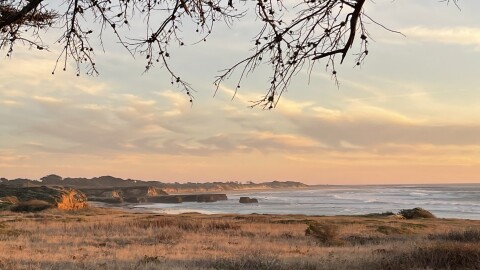 Año Nuevo State Park