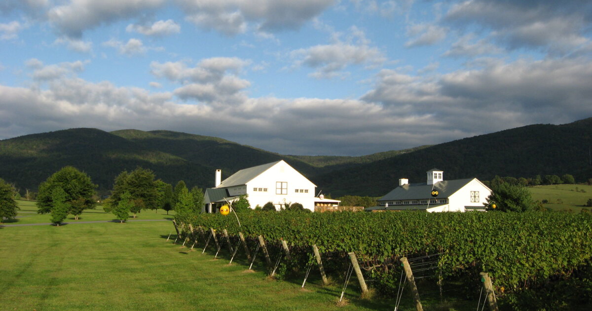 October is Virginia Wine Month, and Uber's Making Sure You Celebrate ...