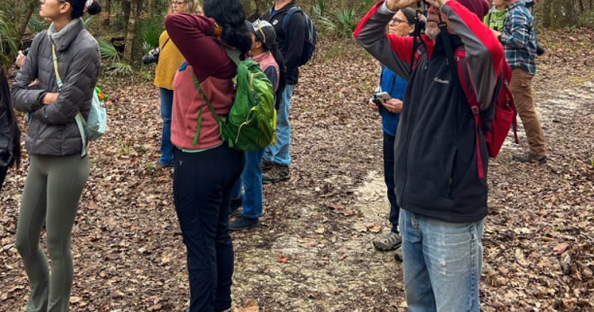 A boardwalk is planned for Turkey Creek Preserve, allowing a closer