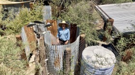 Brad Lancaster in an outdoor shower that uses water collected from the rain. The Tucson resident has written a book about harvesting rainwater. (Peter O'Dowd/ Here & Now)