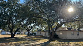 Existing trees at Hillcrest Development.