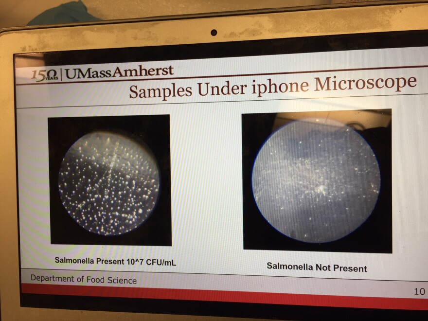 Images from a new app to detect food bacteria.