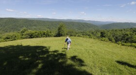 FILE - In a Tuesday June 6, 2017 file photo, hydrologist William K. Jones, walks up a mountain near the route of the proposed Atlantic Coast Pipeline in Bolar, Va. The Federal Energy Regulatory Commission released its final environmental impact statement.