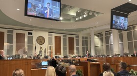 Republican Beaches Councilman Rory Diamond was the sole no vote, saying the maps protect incumbents over representation.