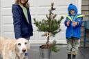 Kara Maynard's two children pose with the family dog in front of a Jack Pine tree, offered by their family's landscaping business