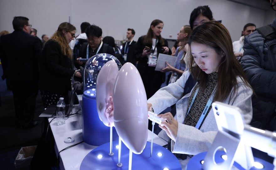 WBFO got a glimpse of tech innovations from established big-named brands, at the world’s biggest consumer electronics show featuring the latest innovations in AI, sustainability, and mobility at the 2024 CES Exhibit.