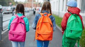 Backs of schoolkids with colorful rucksacks moving in the street