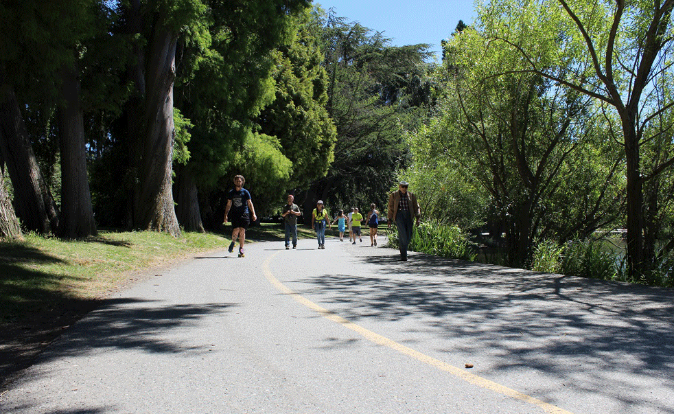 What's the right way to go around Green Lake?