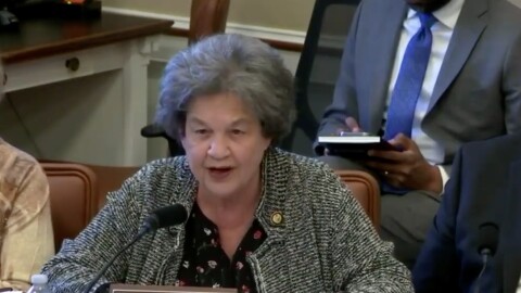 A woman speaks into a microphone 