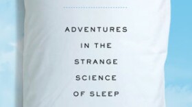 Cover of "Dreamland" by David K. Randall