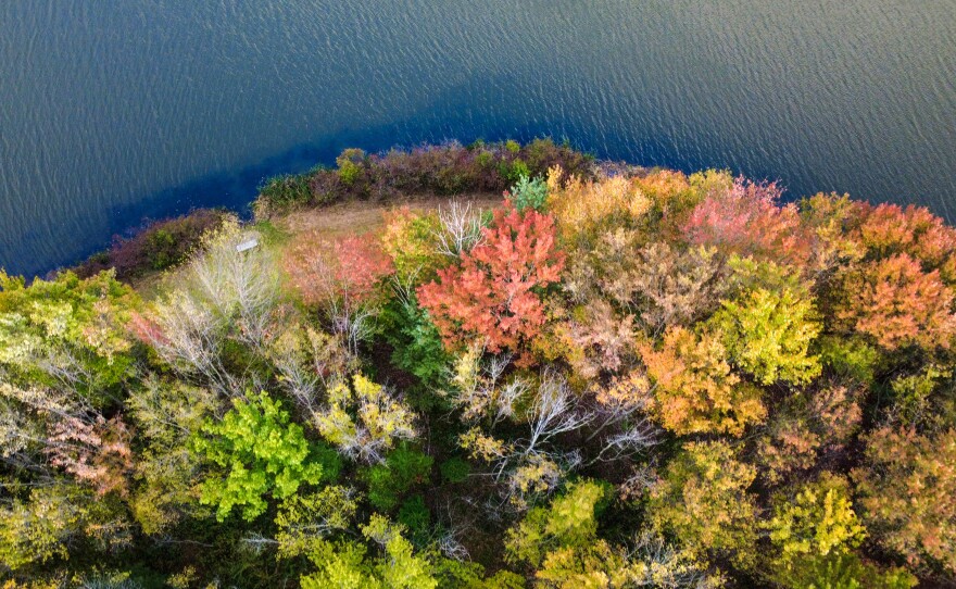 Leaves range from green to yellow to red and dark orange in Wyoming, Luzerne County, during the last week of September 2025.