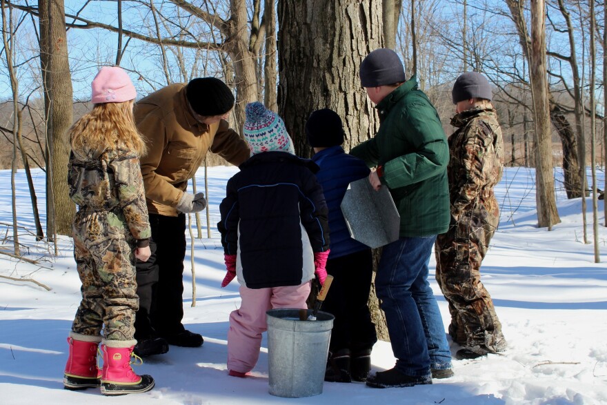 A group learns how to tap a tree for maple syrup at Montour Preserve