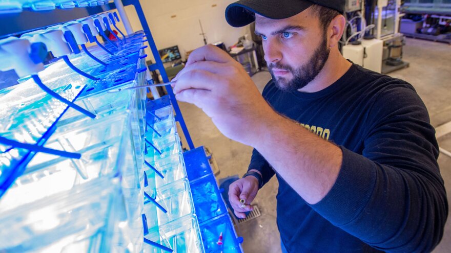 Researcher in laboratory 