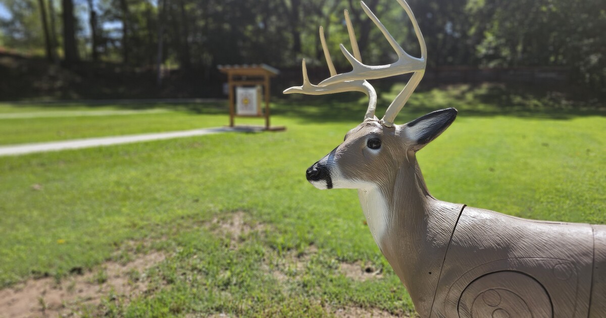 Chronic wasting disease an ongoing problem for Arkansas' deer population