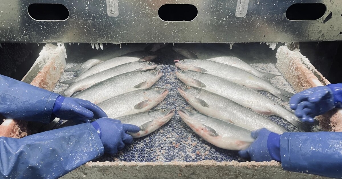 Almost 1 in 4 Alaska workers doesn’t live in the state, new report concludes