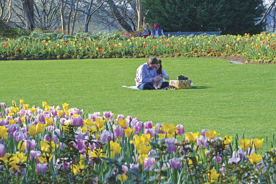  Photo: Dallas Arboretum