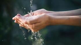 Clean water is a pressing issue in Iowa where the state's rivers, lakes and streams are routinely polluted with manure runoff and other toxins from large factory farm operations.