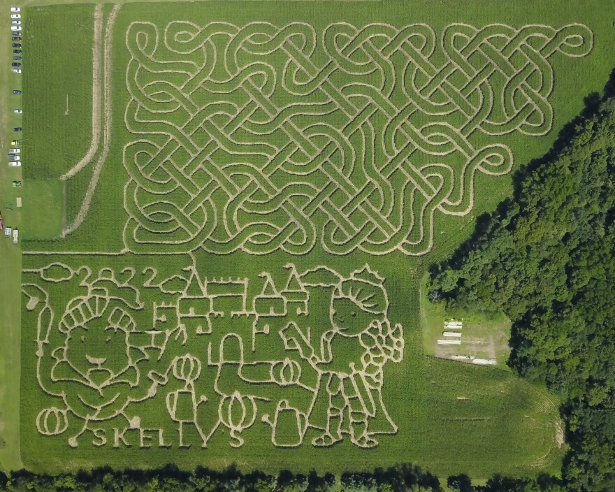 You can find two elaborate corn mazes at Skelly's Farm Market in Janesville.