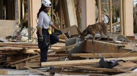 Human remains canine detection handler Nyssa Meyerdirk, with Texas Task Force 1 urban search and rescue, works with her dog Artimys at a site where dogs had previously indicated the possibility of human remains, one week after the passage of Hurricane Ian, on Estero Island in Fort Myers Beach, Fla., Wednesday, Oct. 5, 2022. After removing layers from the debris pile, the dogs no longer indicated interest and the search was called off at that location.( AP Photo/Rebecca Blackwell)