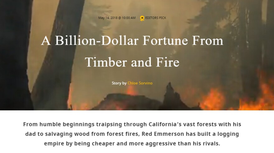 timber.jpg