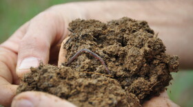 Healthy, fuctioning soils are full of life.