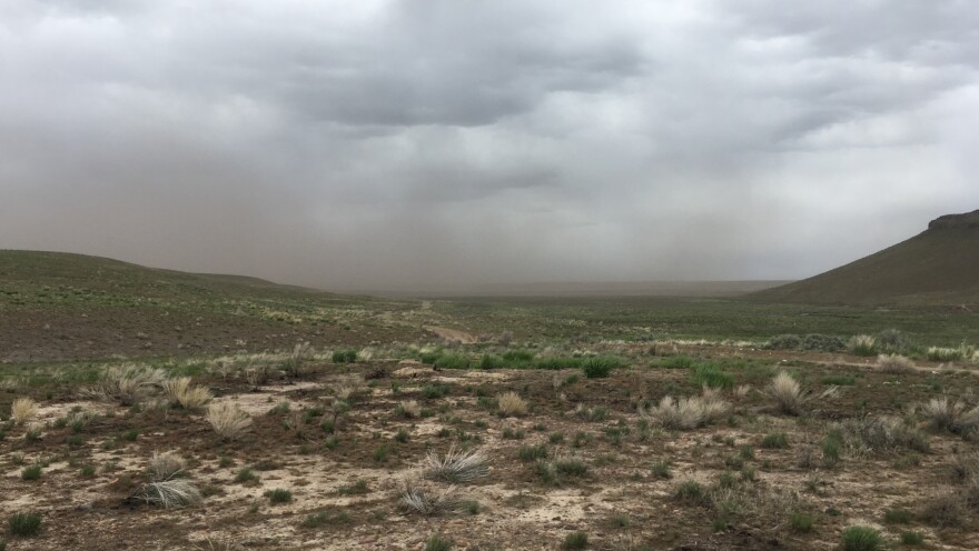 Ash blows off of rangeland that burned in the Martin Fire of 2018 — the largest in Nevada state history.