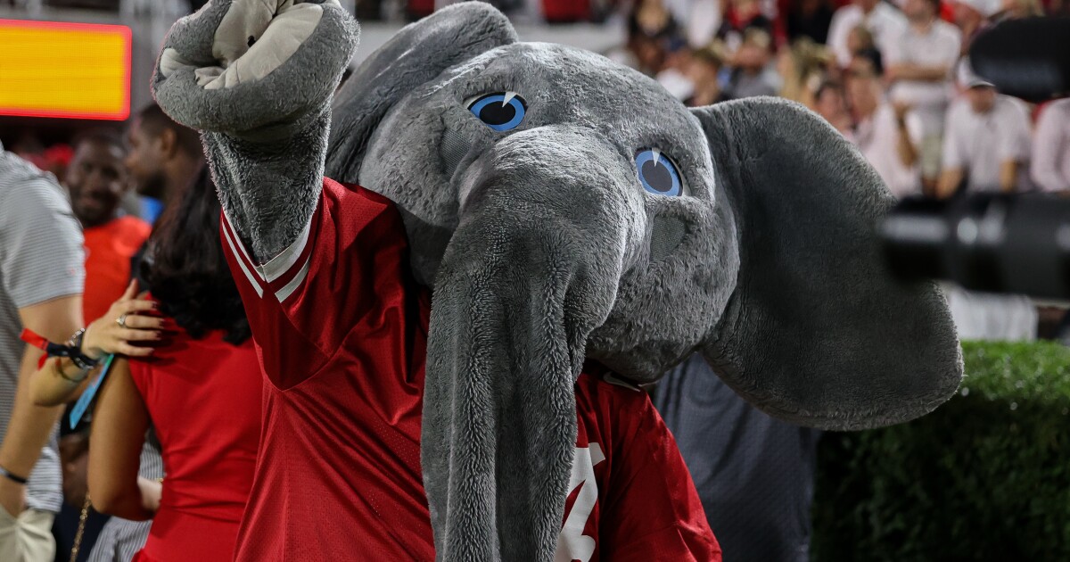 Life in the suit...being Big Al at the University of Alabama