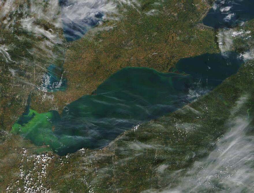 A satellite photo from an algae bloom in September of 2018. [NOAA]