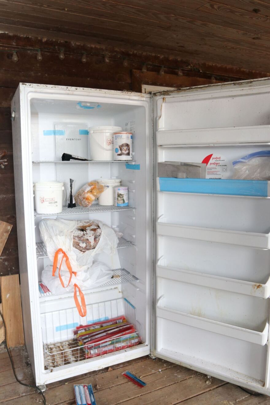 Dead animals were found in sealed trash bags in an upright outdoor freezer.