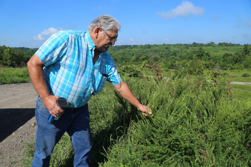 Lester Brashear on a strip mine in Perry county on August 18, 2022.